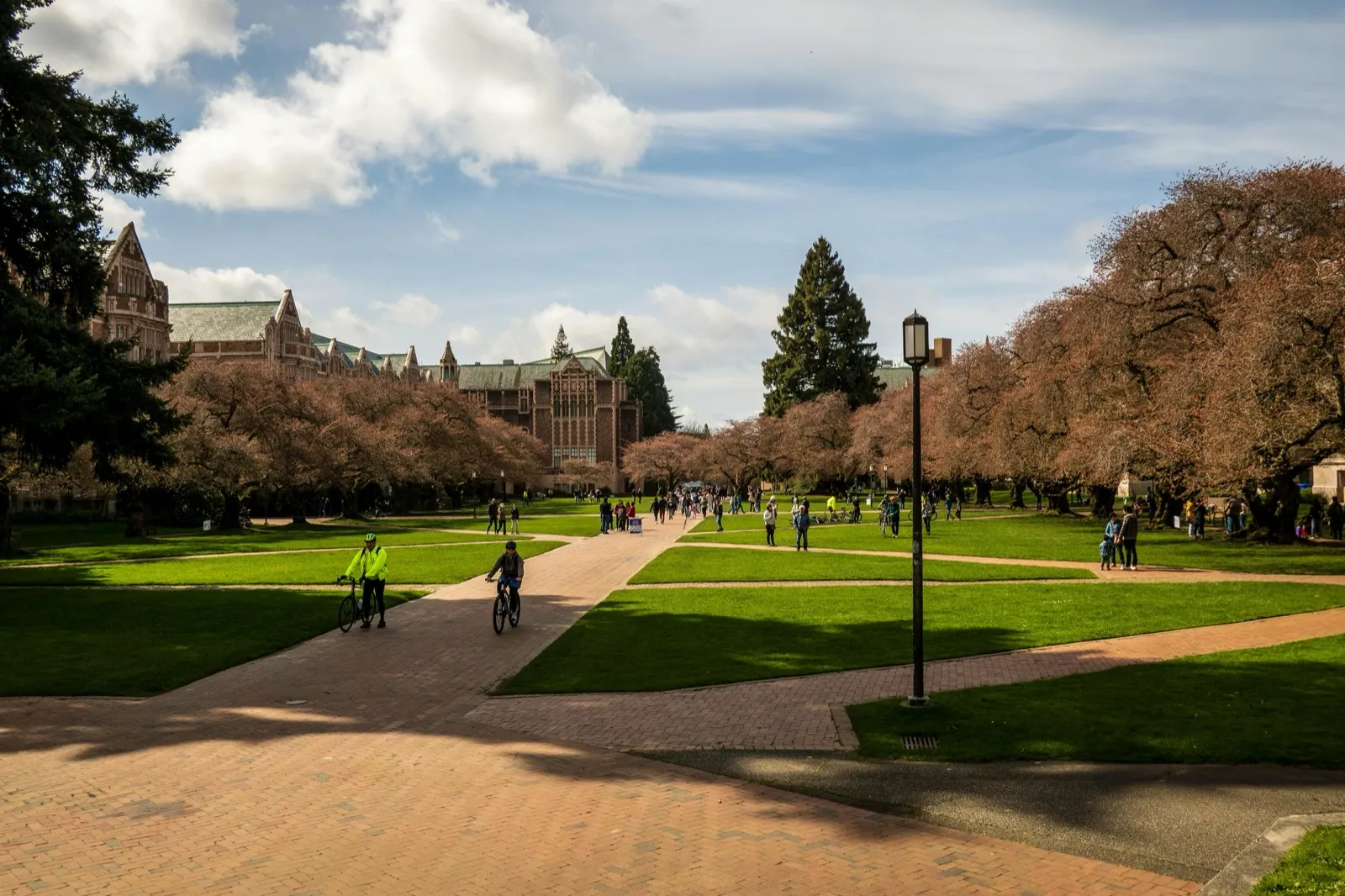 A college campus quad with tree-lined walkways and Gothic architecture buildings in spring